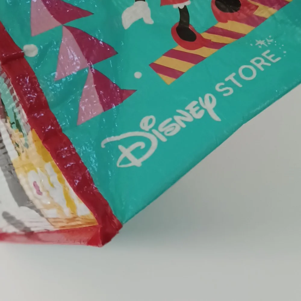 Disney winter holiday